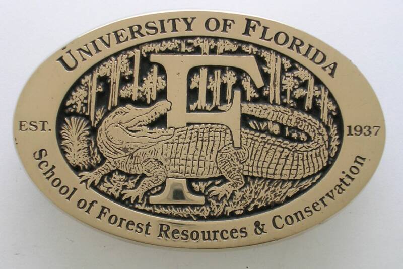 University of Florida Buckle
